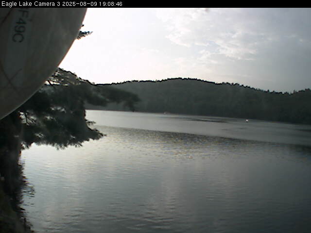 public_cam 3_25-08-09_19-08-46-99.jpg
